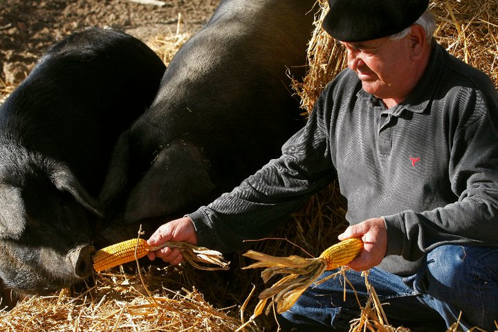 photo foie gras